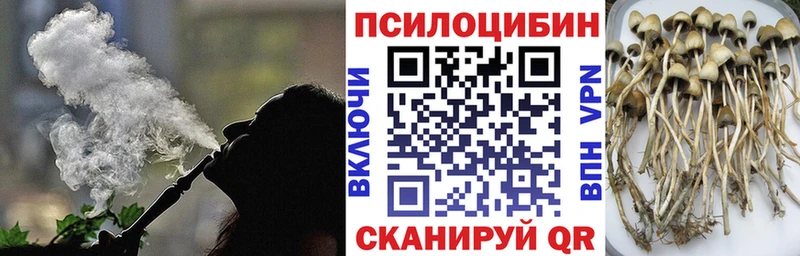Псилоцибиновые грибы мицелий  закладки  Малая Вишера 